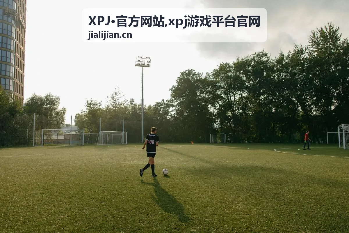 XPJ·官方网站 xpj游戏平台官网入口信息面板